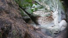 náhled IMG_20200831_141649