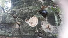 náhled IMG_20200831_141815