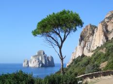 náhled 91466-buggerru1600