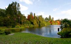 náhled 91570-ss_trees_1920x1200